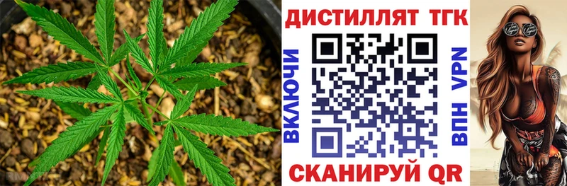 KRAKEN как войти  где купить   Шилка  Дистиллят ТГК Wax 